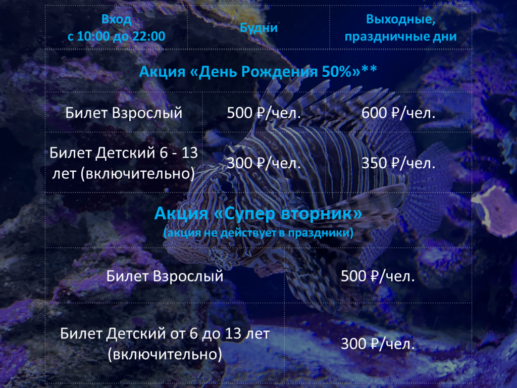 Океанариум РИО Москва - цена билета 2023 - 2024