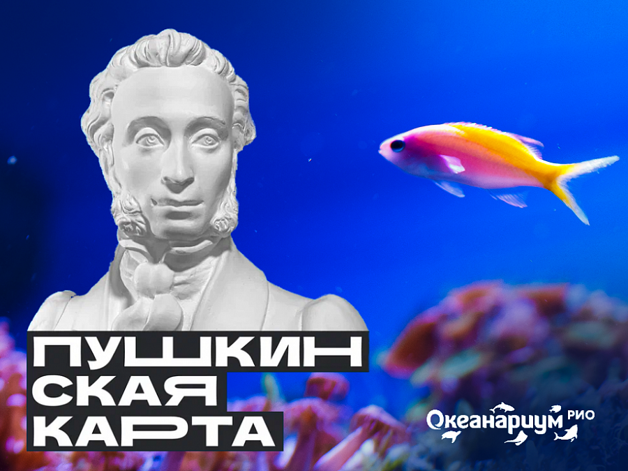 «Пушкинской картой» теперь можно оплатить билет в наш Океанариум! 